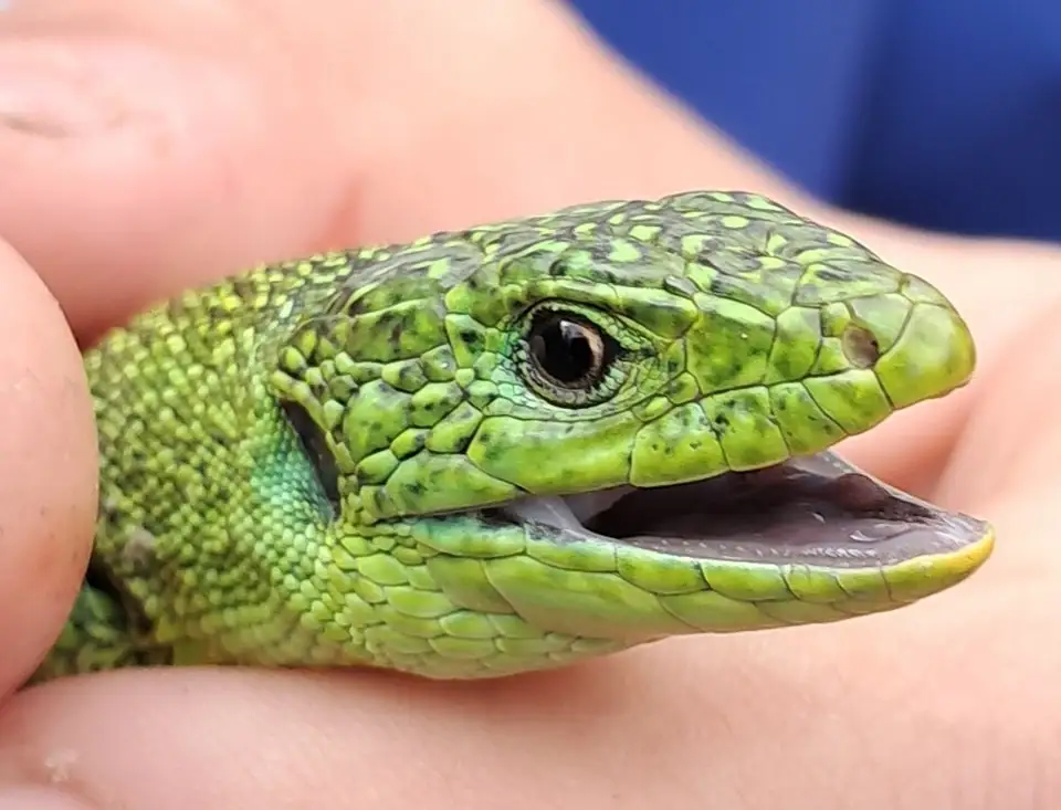 konkurs-04-06-2024_27