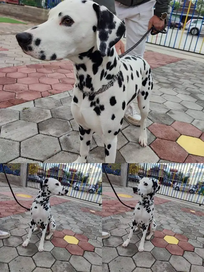Rabotilnica od zdruzhenieto Za podobar svet 1