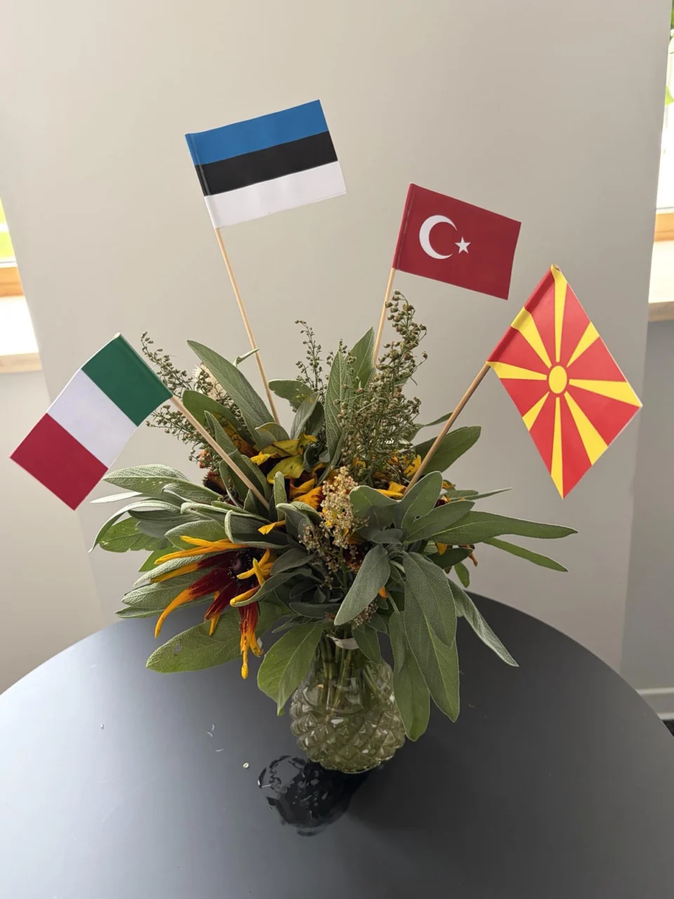 Еразмус+ мобилност во Кусалу, Естонија