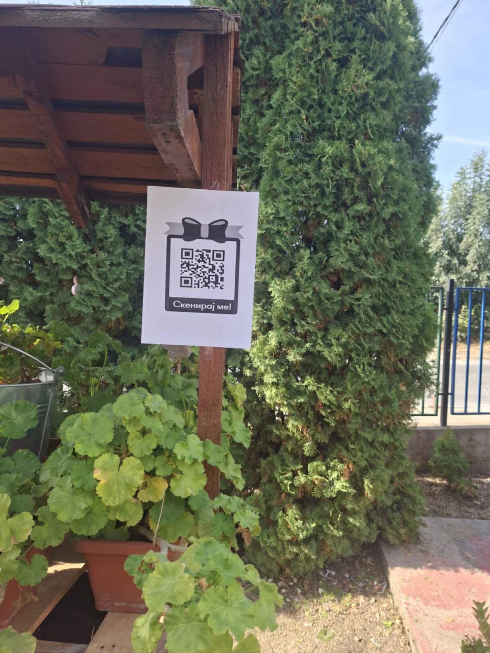 Трет ден од Детската недела